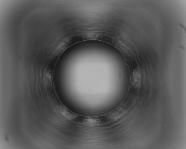 X0000091500522200708231447