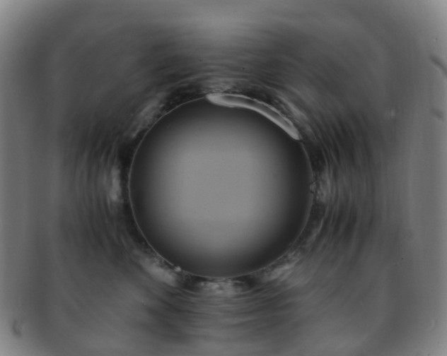 X0000091500524200708231447