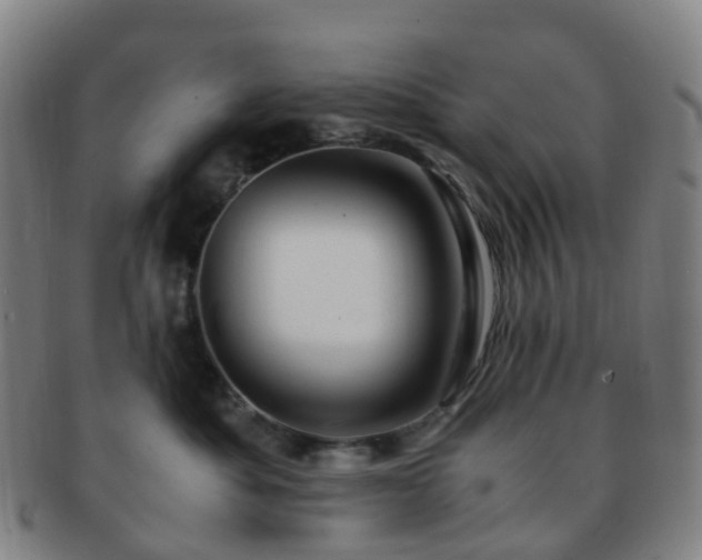 X0000091500525200708231447