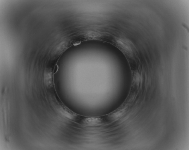 X0000091500526200708231447