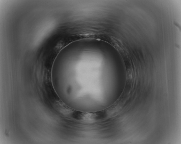 X0000091500527200708231447