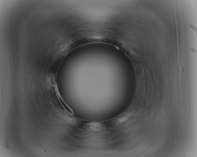 X0000091500528200708231447