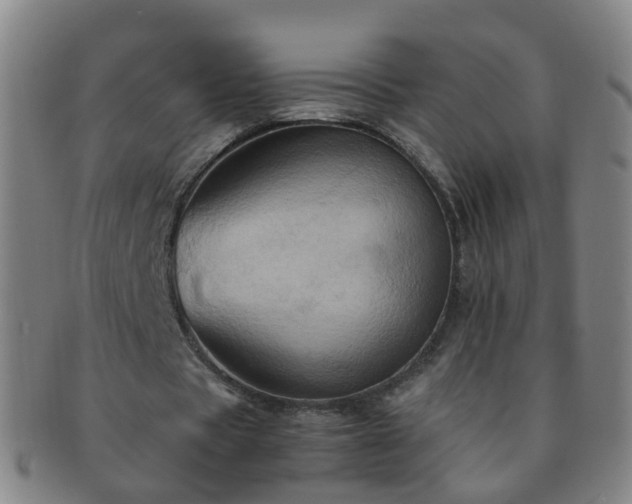 X0000091500529200708231446