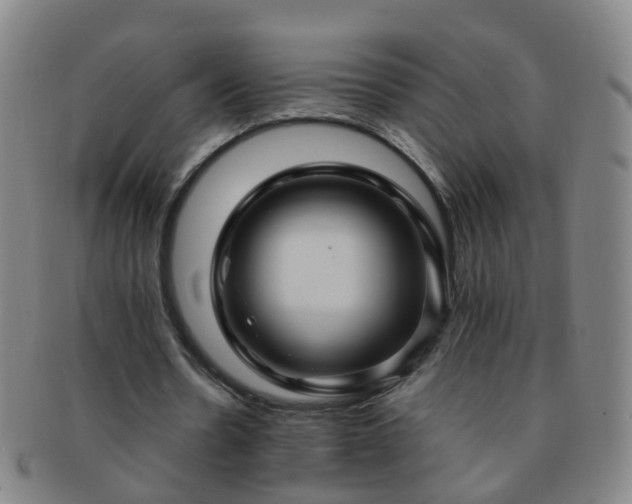 X0000091500530200708231446