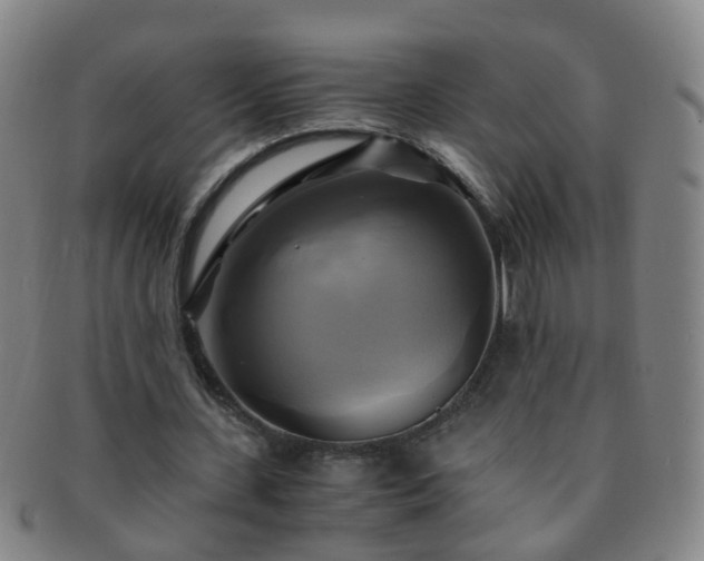 X0000091500531200708231446