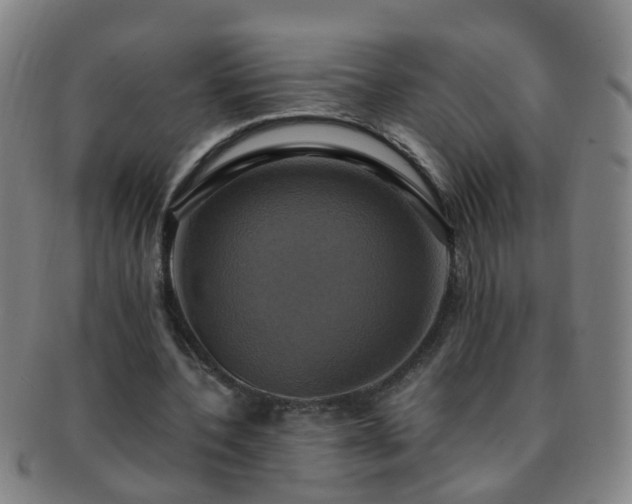 X0000091500532200708231446