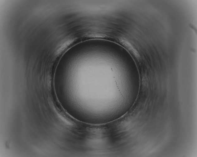 X0000091500533200708231446