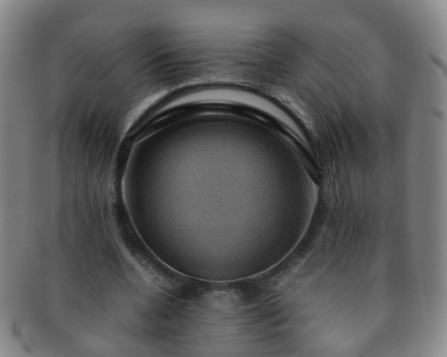 X0000091500536200708231446