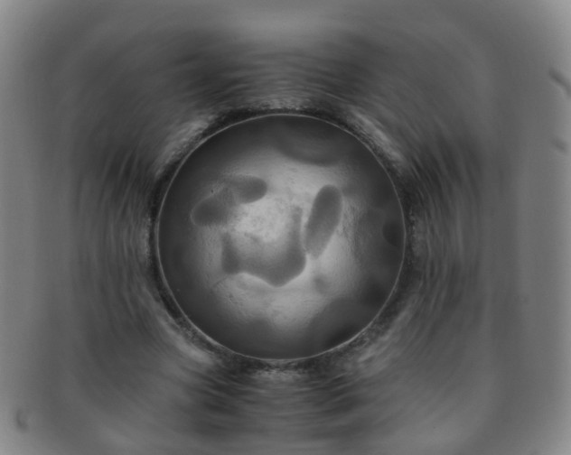 X0000091500537200708231446