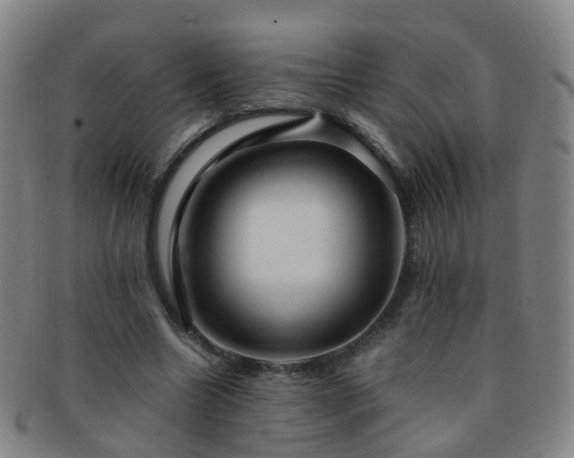 X0000091500538200708231446