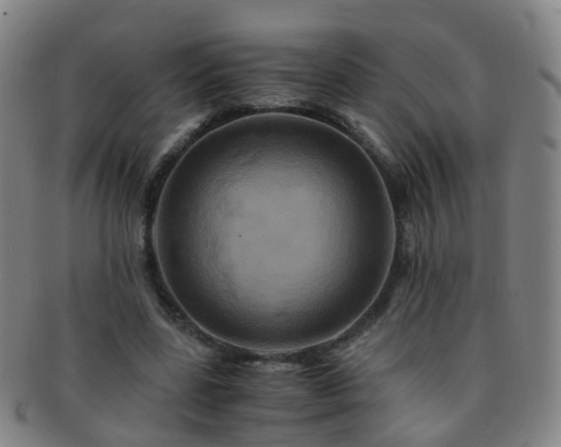 X0000091500539200708231446