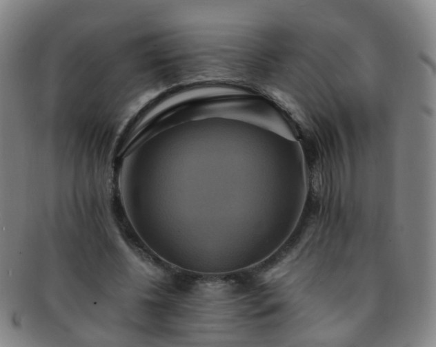 X0000091500540200708231446