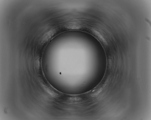 X0000091500541200708231446
