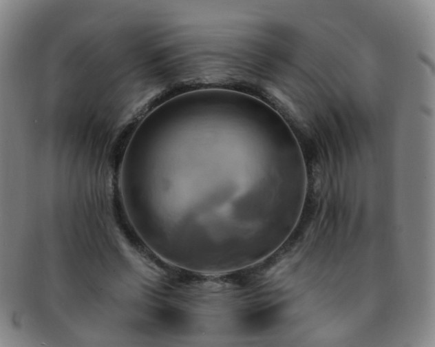 X0000091500542200708231446