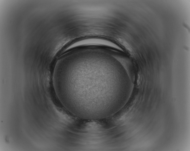 X0000091500544200708231446