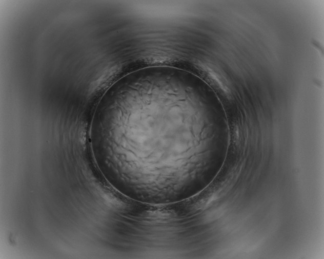 X0000091500545200708231446