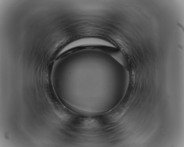 X0000091500547200708231446
