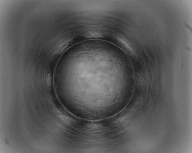 X0000091500549200708231446