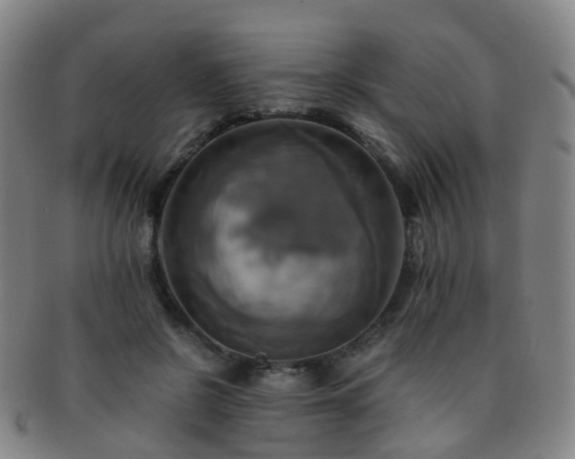 X0000091500550200708231446