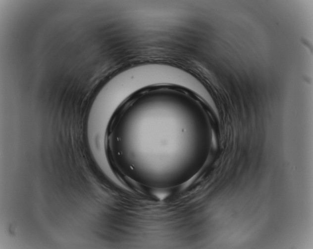 X0000091500552200708231446