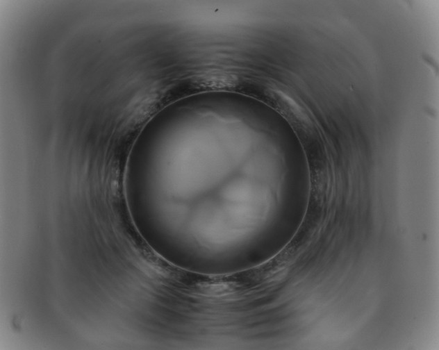 X0000091500553200708231447