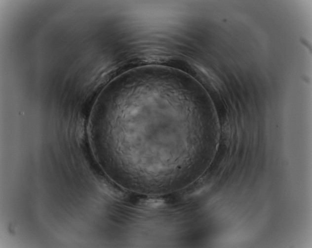 X0000091500554200708231447