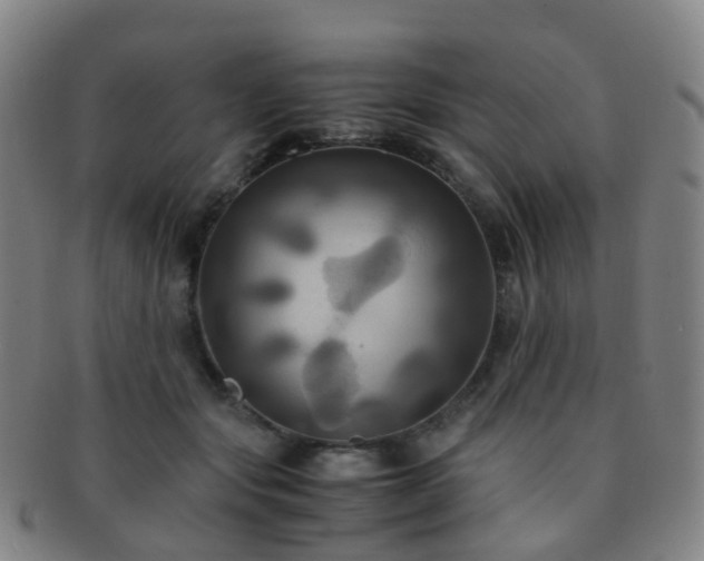 X0000091500557200708231447