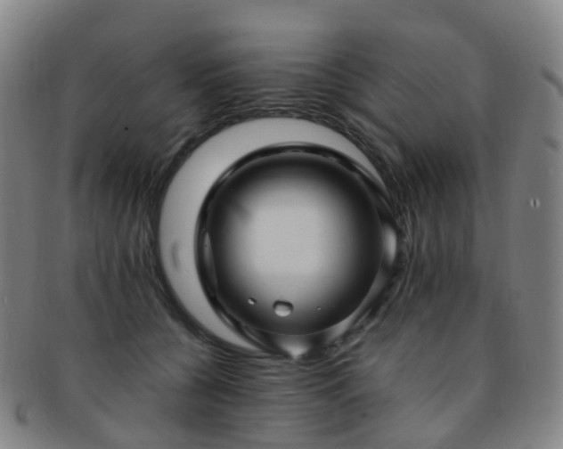 X0000091500560200708231447
