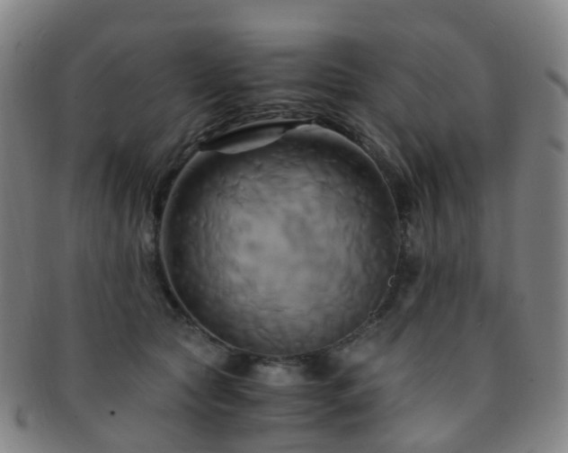 X0000091500561200708231447