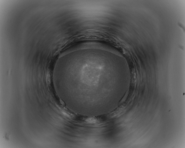 X0000091500562200708231447
