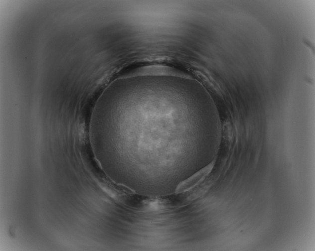 X0000091500564200708231447