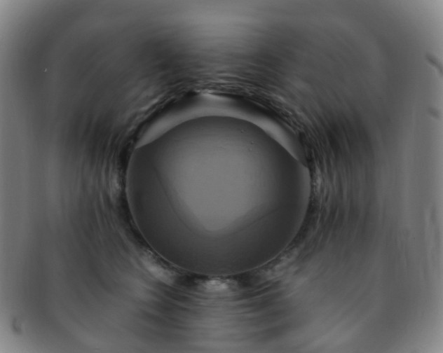 X0000091500566200708231447