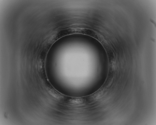 X0000091500567200708231447