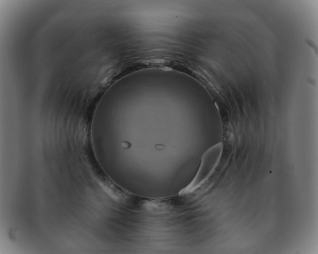 X0000091500568200708231447