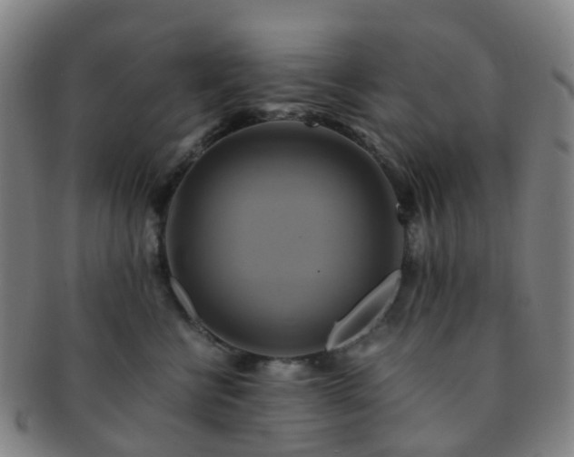 X0000091500570200708231447
