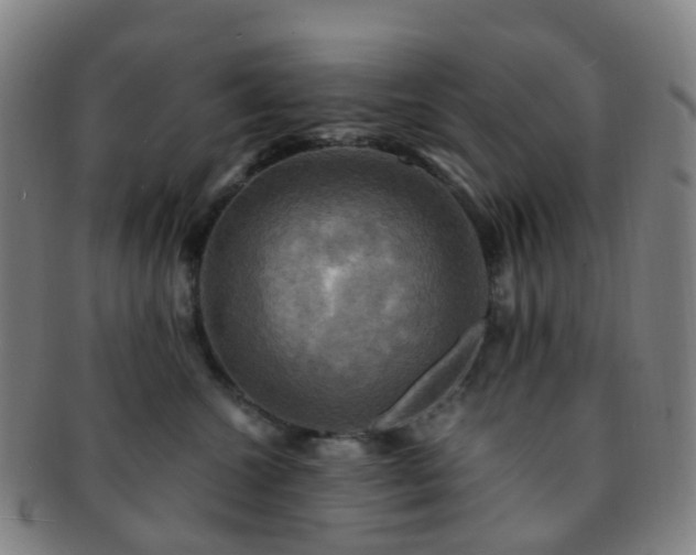 X0000091500572200708231447