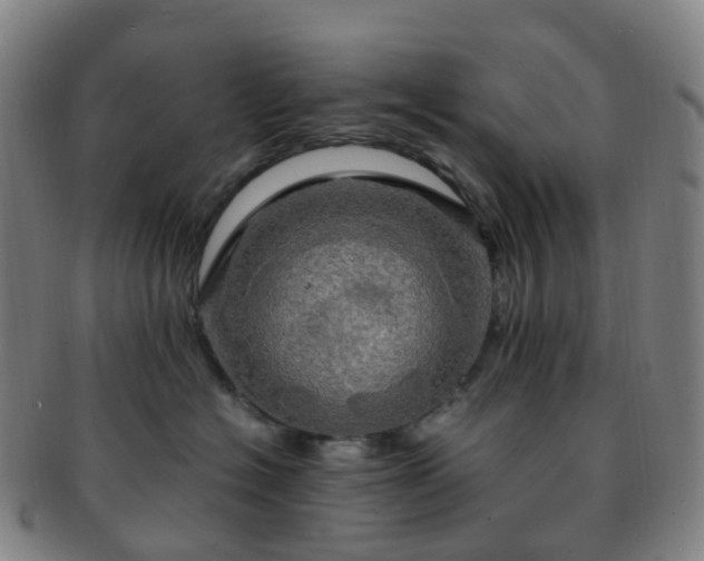 X0000091500574200708231447