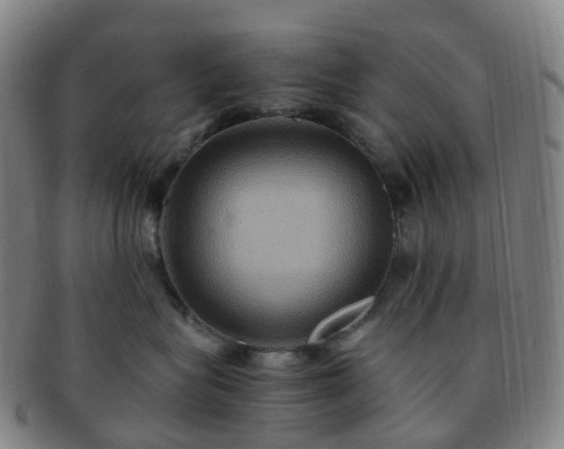X0000091500575200708231447