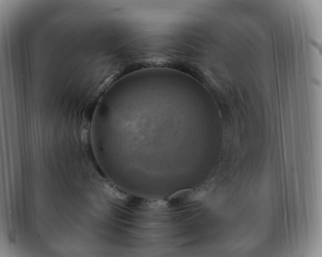 X0000091500576200708231447