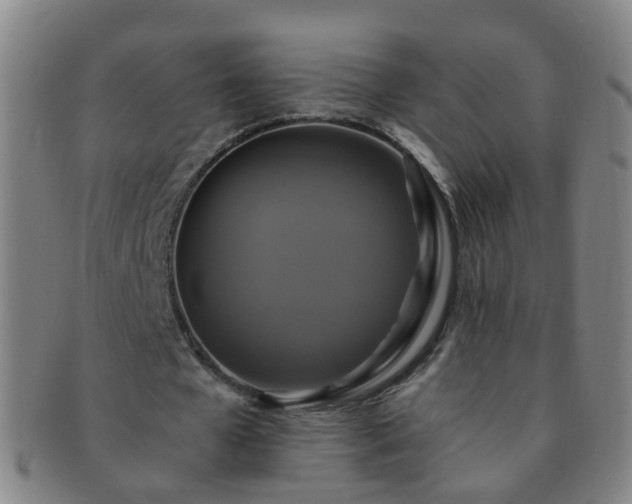 X0000091500577200708231446