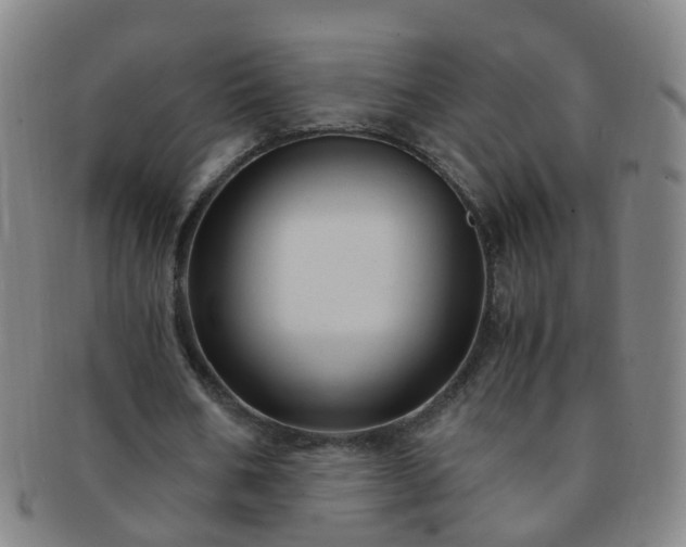 X0000091500578200708231446