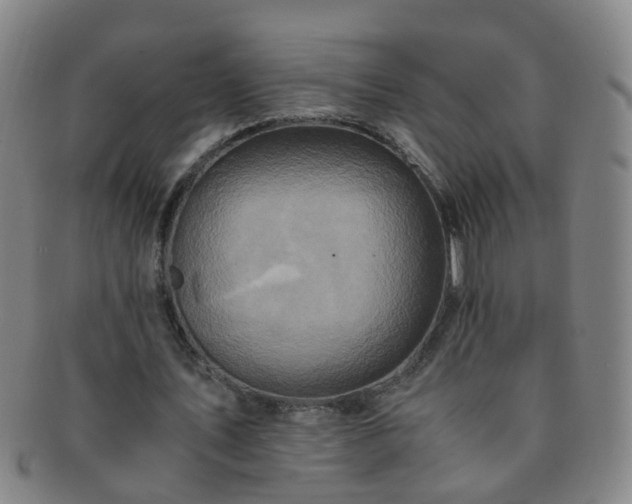 X0000091500579200708231446