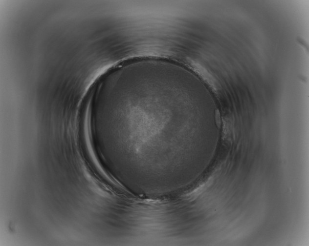 X0000091500580200708231446