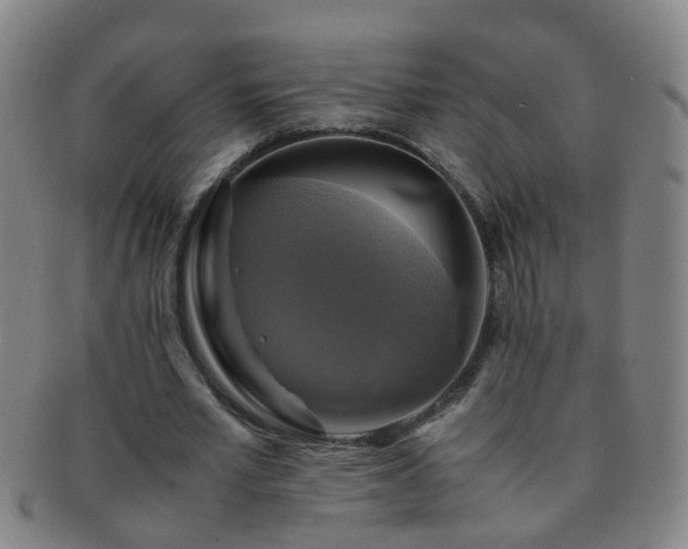 X0000091500581200708231446