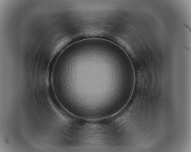 X0000091500582200708231446