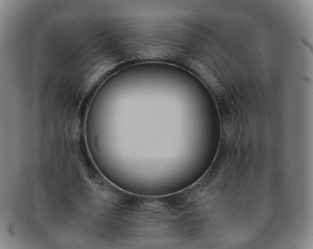 X0000091500583200708231446