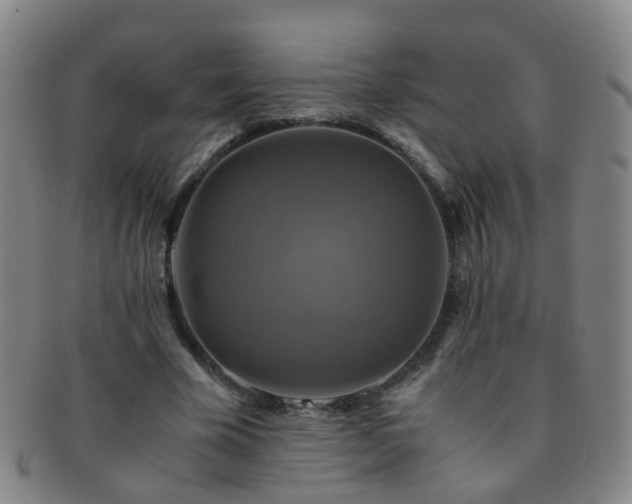 X0000091500585200708231446