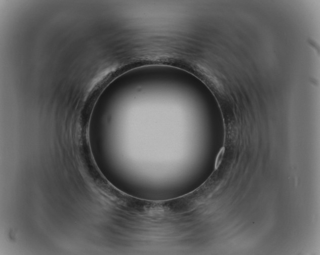 X0000091500587200708231446