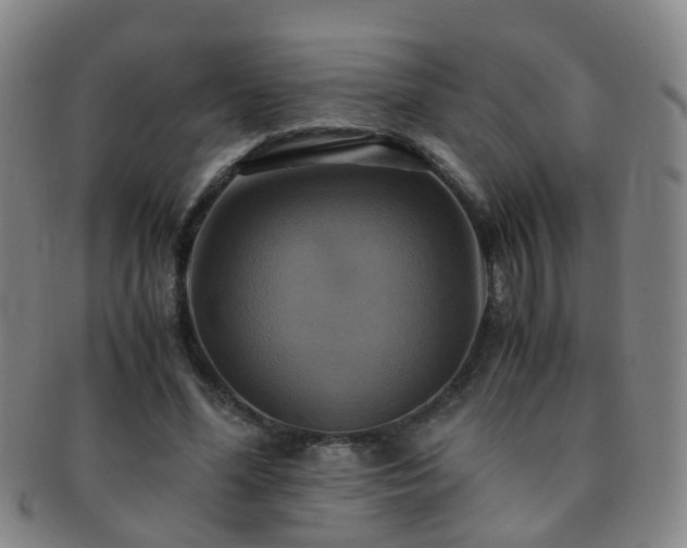 X0000091500588200708231446