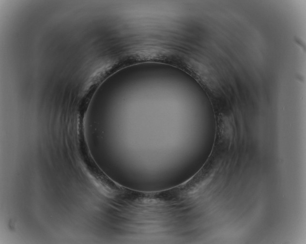 X0000091500590200708231446